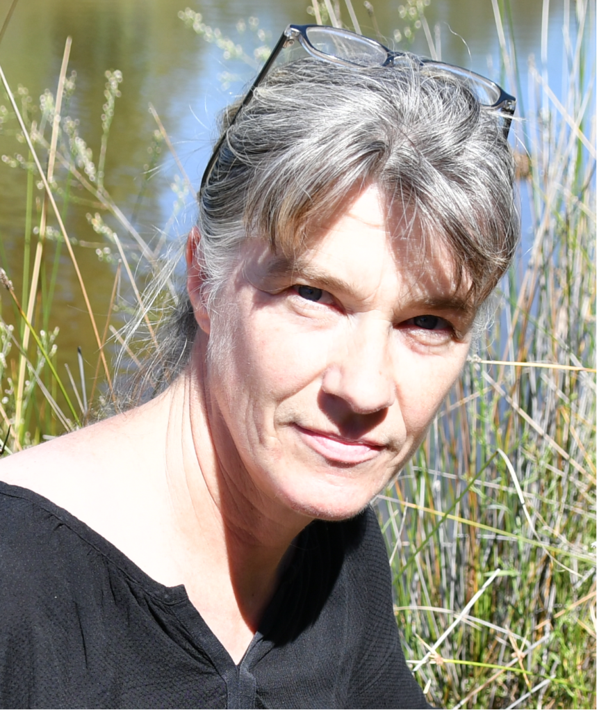Associate Professor Ilka Wallis