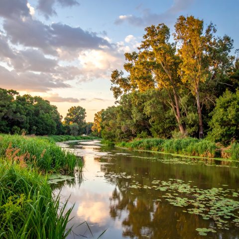 Integrated waterway and catchment management at Basin SCALE - Video ...
