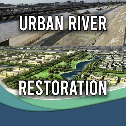 Escape from the concrete jungle - Video - Australian Water School